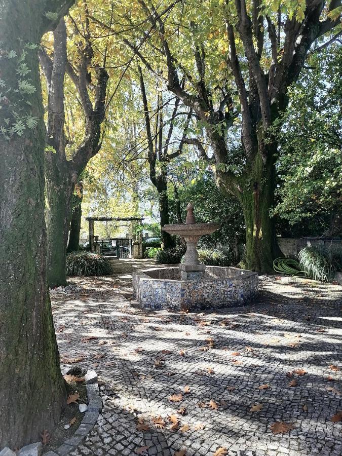 Camelia Rooms Guimarães Exteriör bild